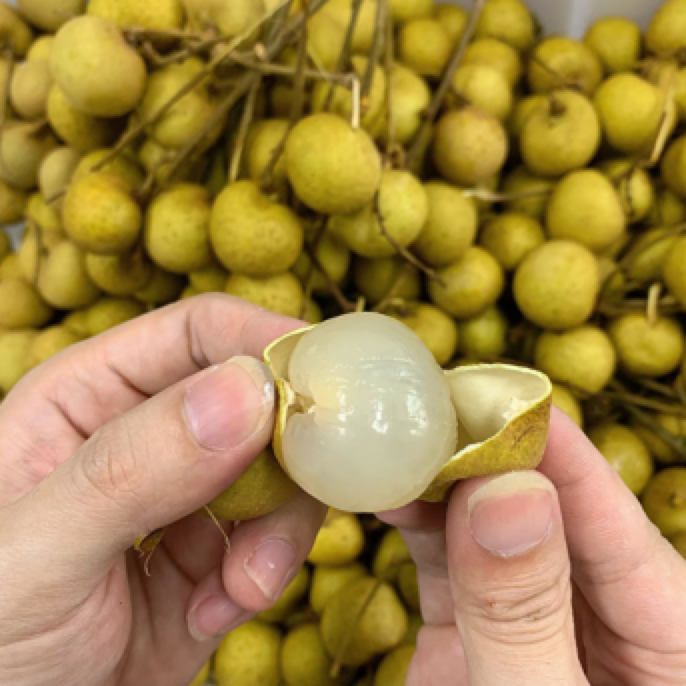 （泰国龙眼）79/5斤