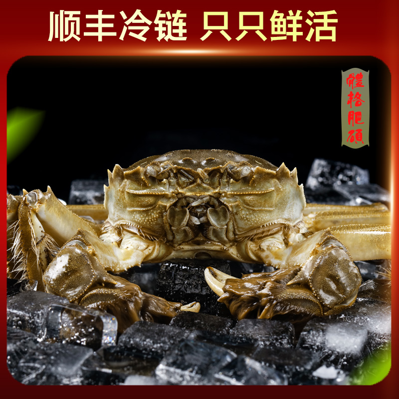 大蟹6只送2只 到手8只螃蟹青蟹2.2-2.5两次日达顺丰包邮