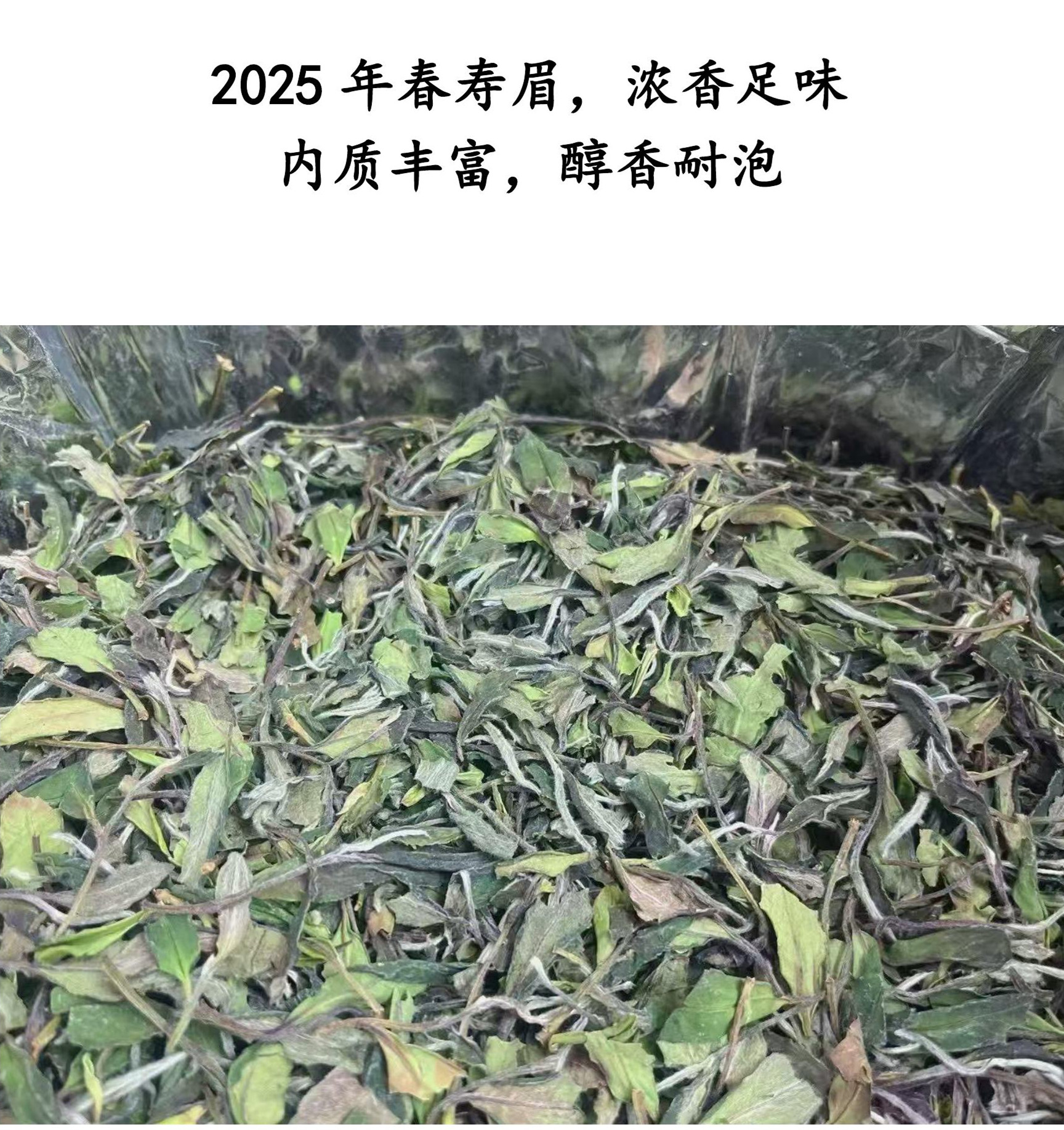 福鼎磻溪仙蒲村高山寿眉