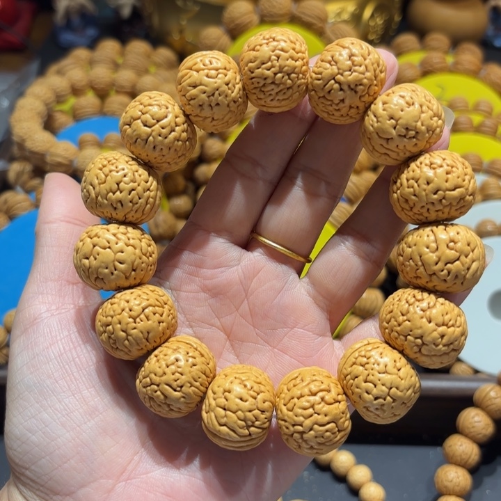 华***明23尺寸老树苹果圆9号