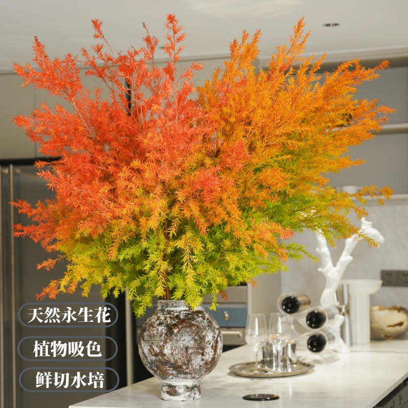 【千层金】黄金香柳鲜切 | 可水培干插｜室内客厅植物｜氛围高端花卉