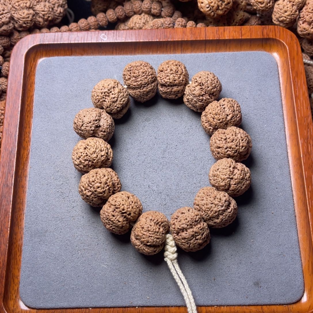 龍***二菩提籽类10号金刚菩提菠萝蜜24+