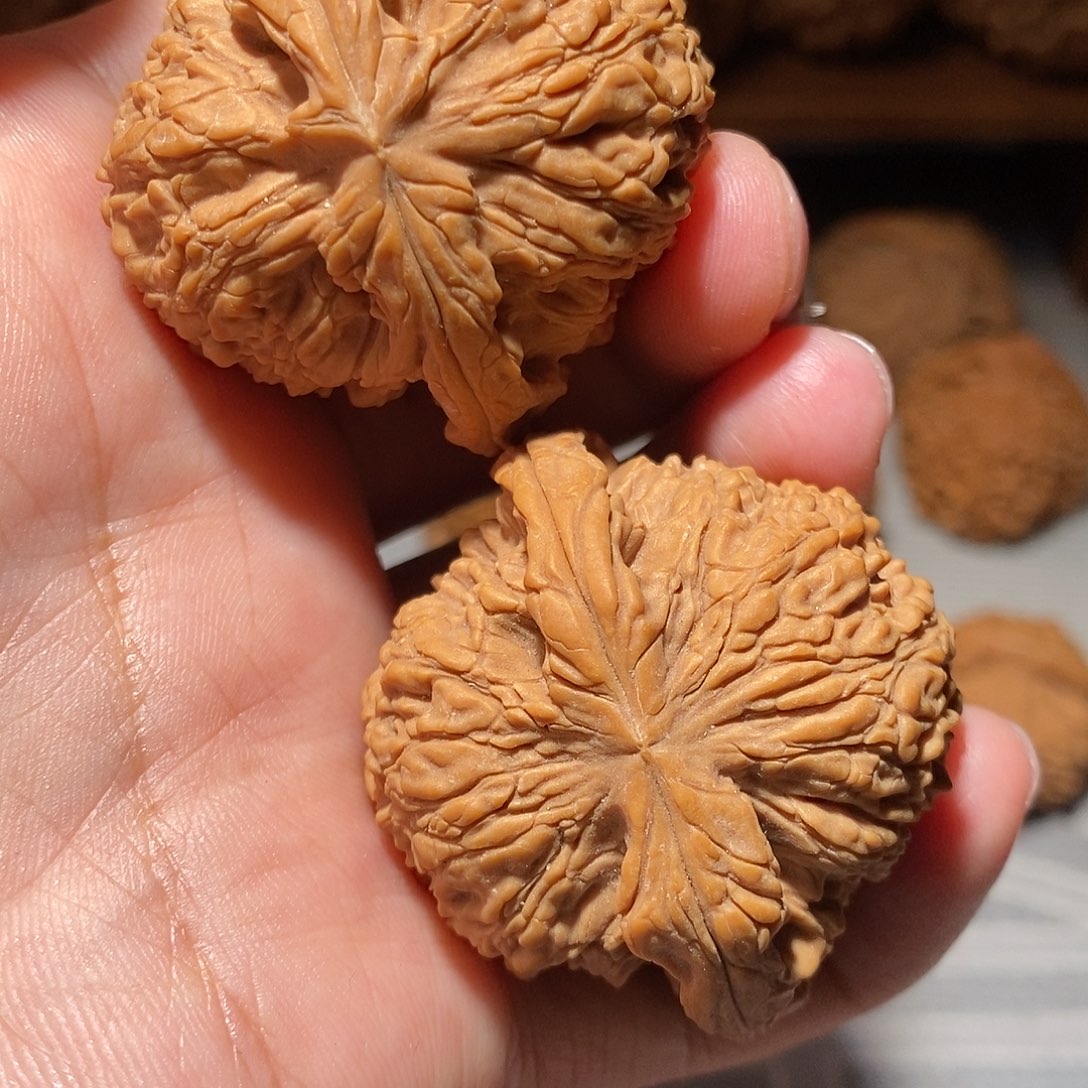 文玩核桃把件072南将石44尺全品头货对