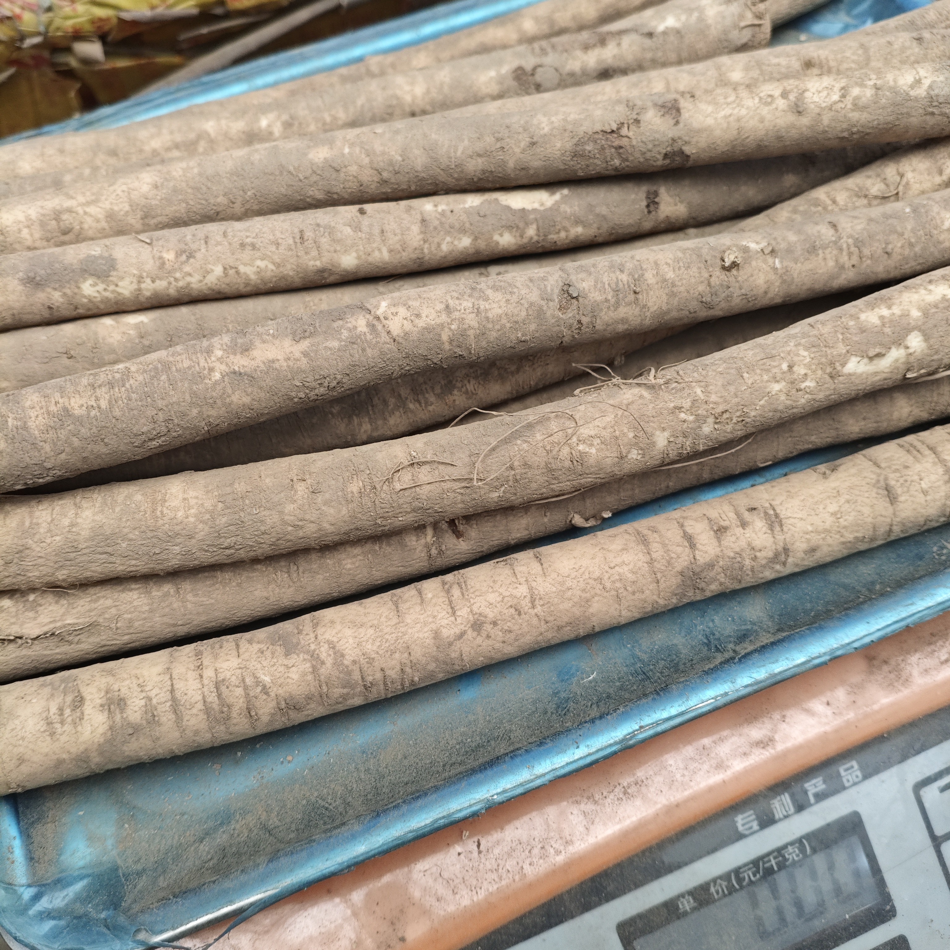 甘肃岷县新鲜黄芪整条原产地可煲汤炖肉滋补养生农户直发