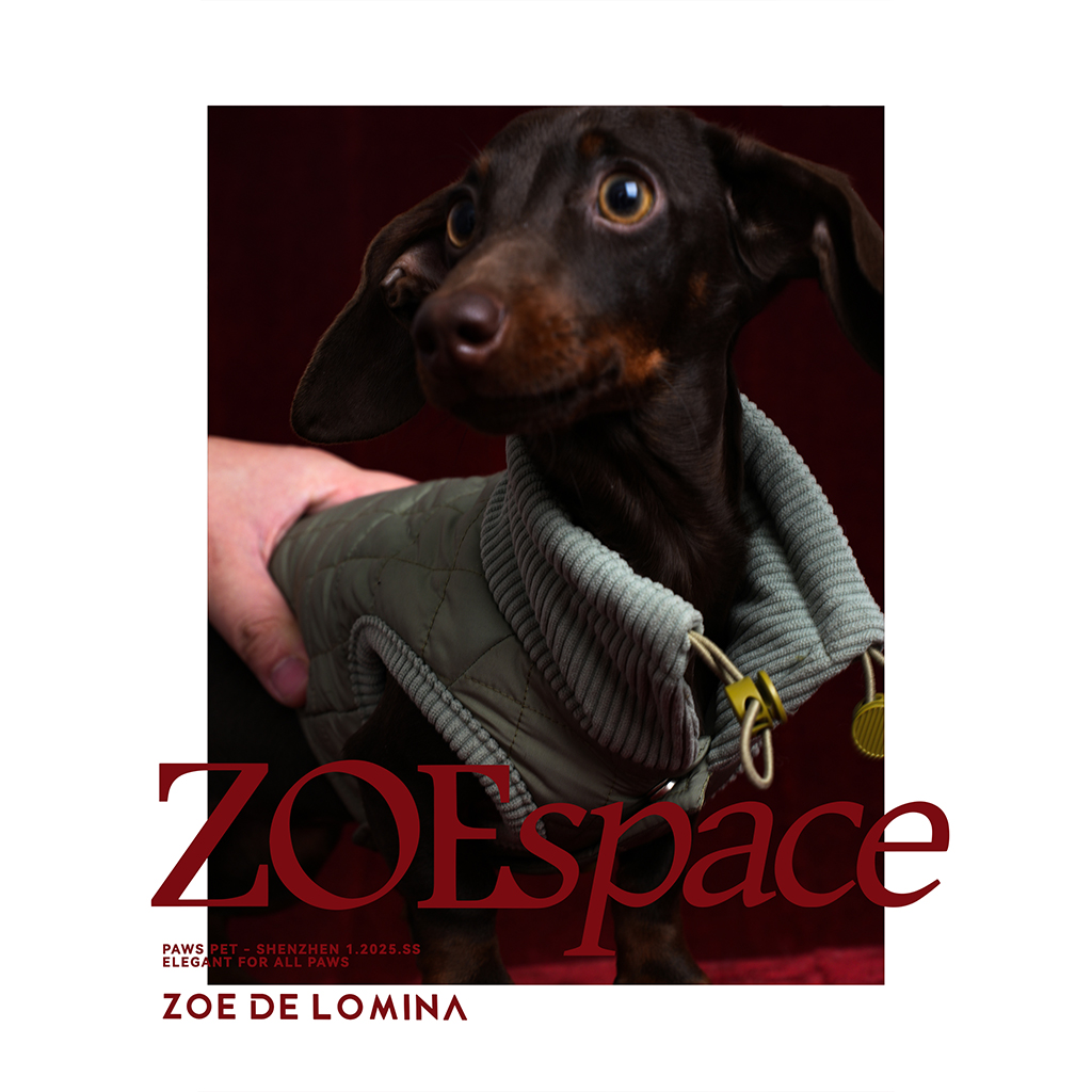 zoe佐伊宠物RL老钱风狗狗棉服秋冬季新款保暖宠物衣服