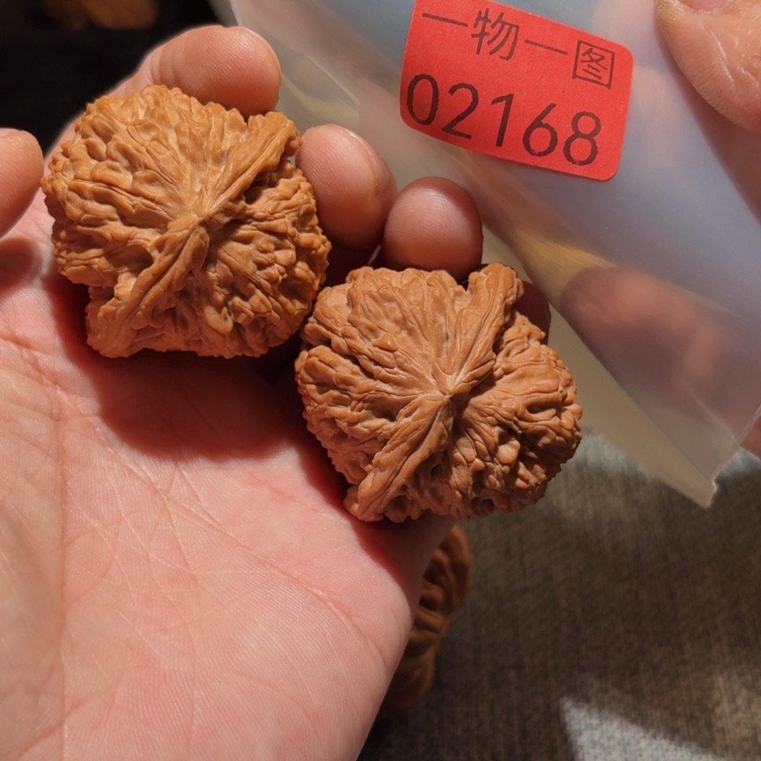 把件文玩核桃白狮子