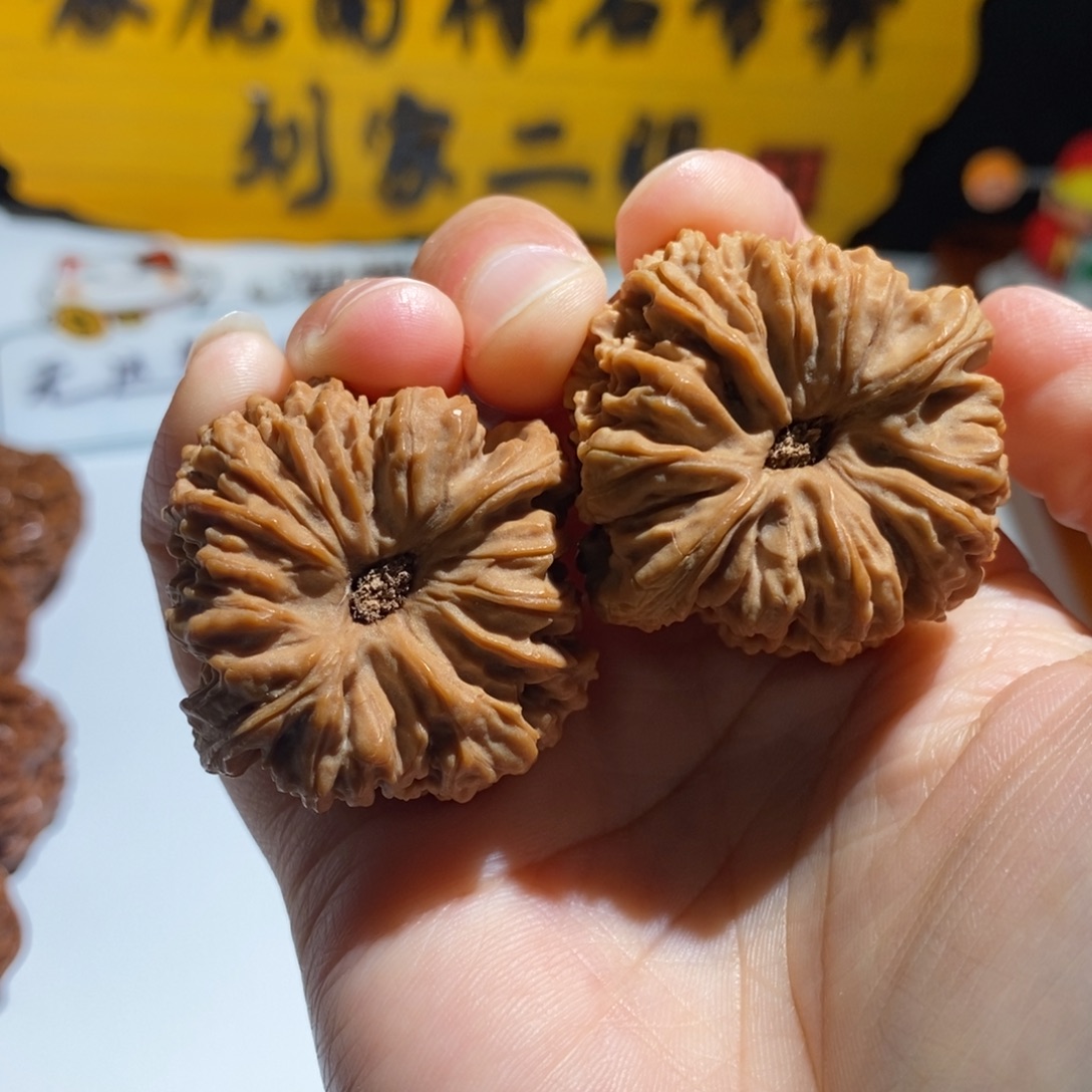 邢***运大叶紫檀（黑酸枝木类）