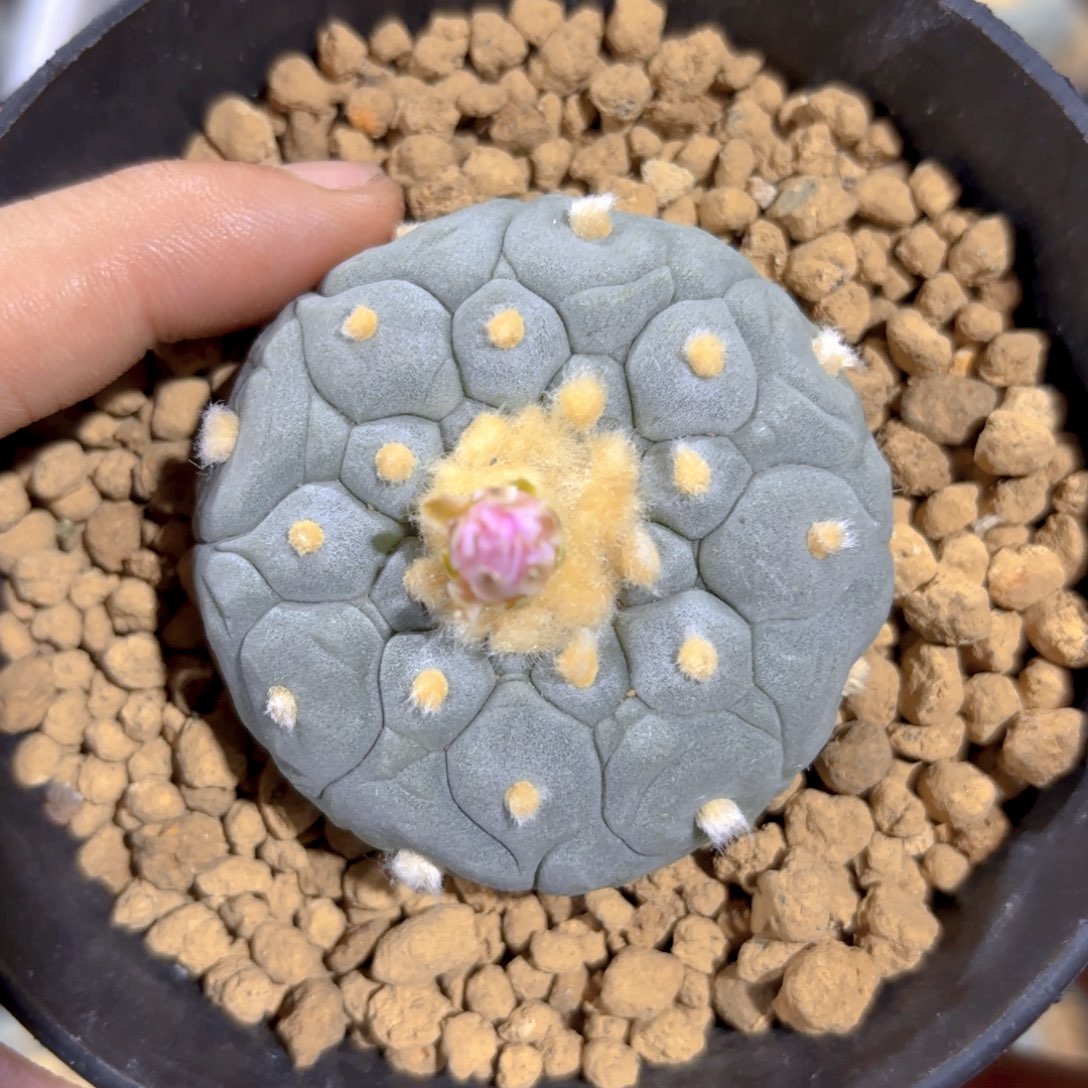 G891g g g g g g g g