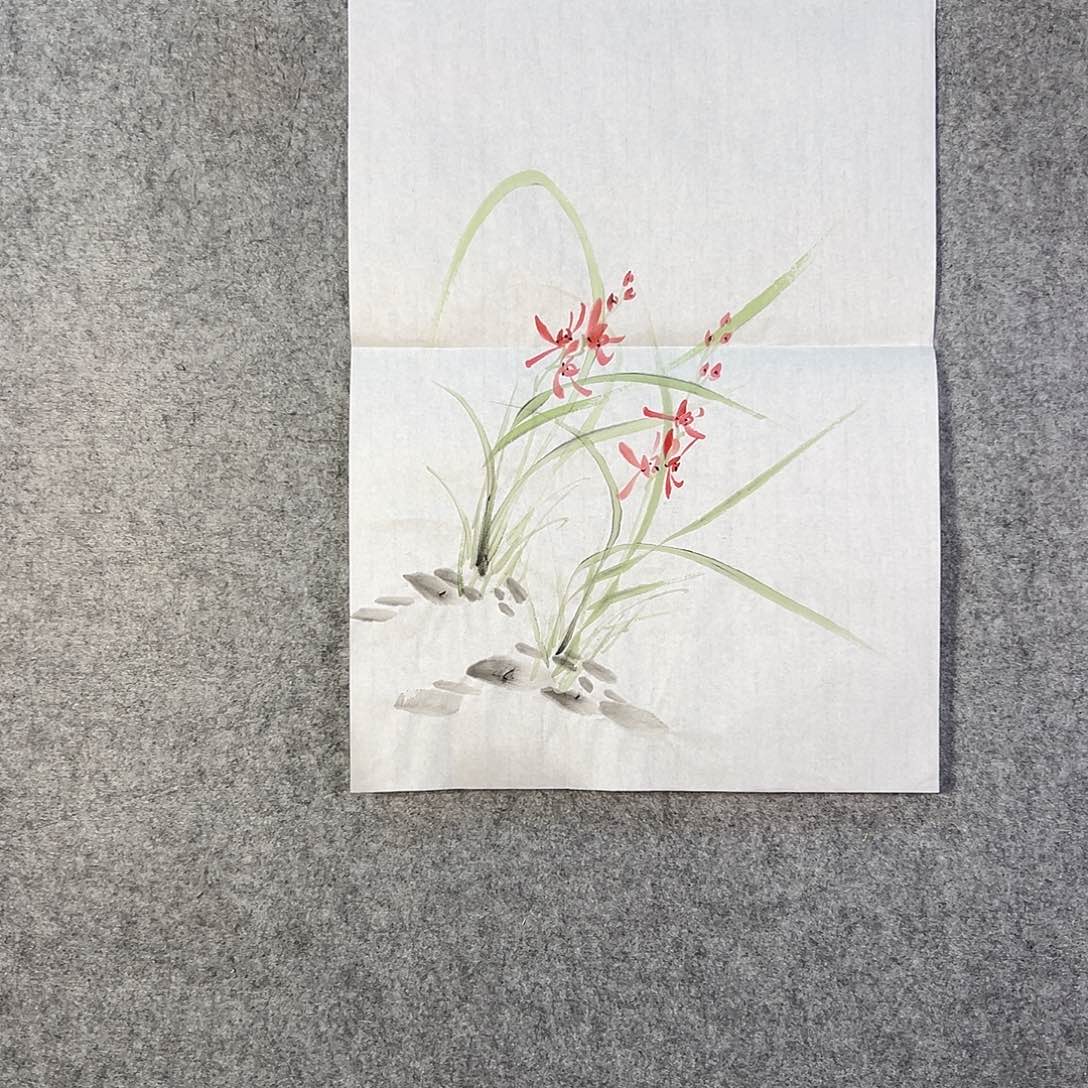 国画352 牡丹花等经济植物资源和