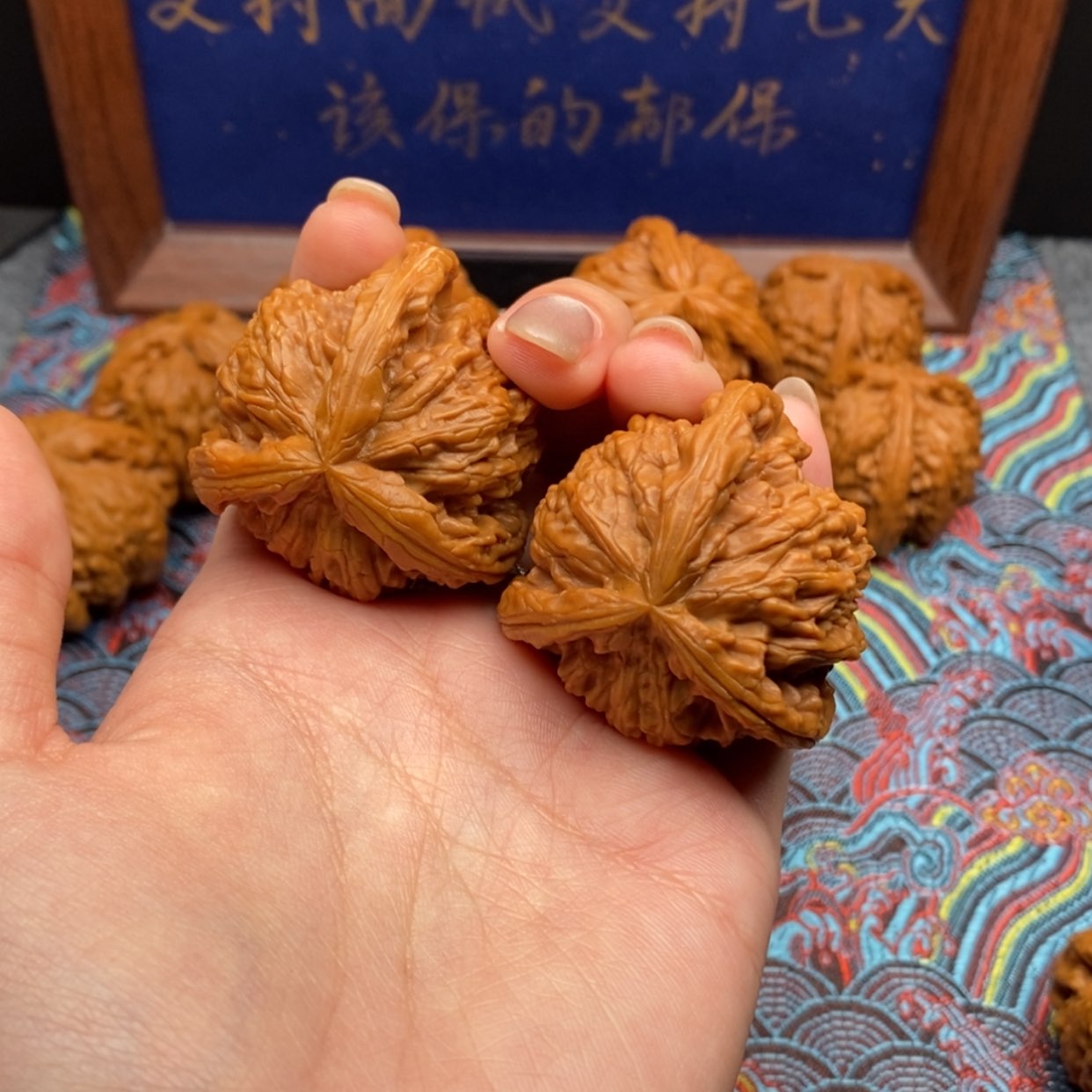 【闪购商品】依*白狮