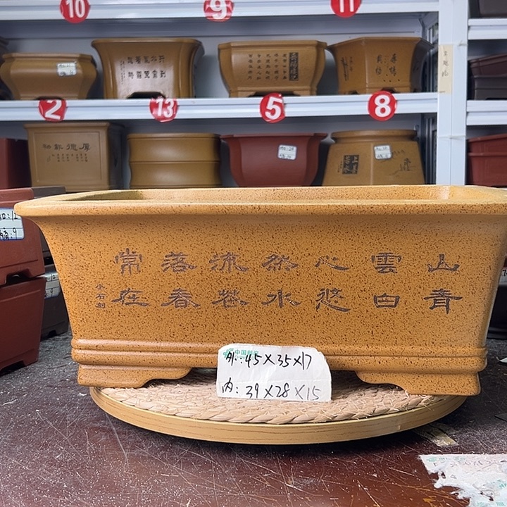 紫砂花盆蛇年大吉