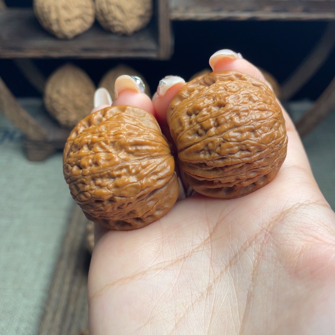 木质铁锤37 全品打底精配毕业红皮