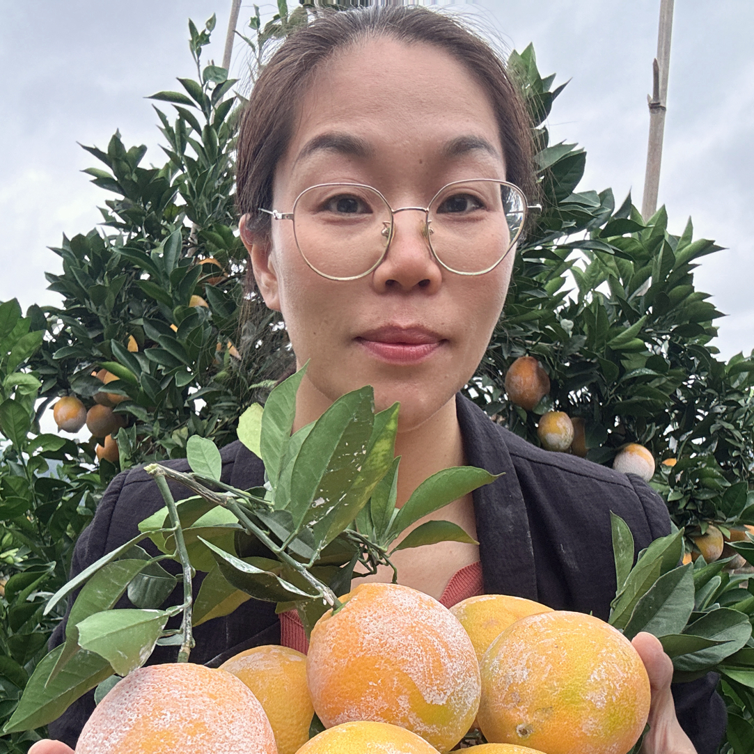 正宗赣南龙勾脐橙果园现摘现发香甜多汁龙勾石灰橙10斤装