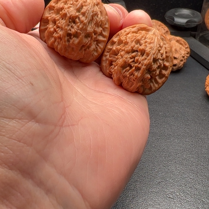 把件文玩核桃37小白狮子