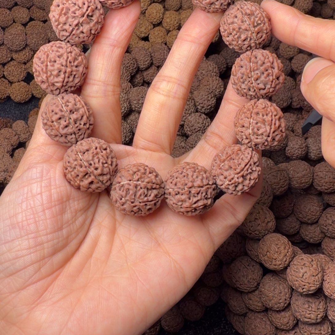 金刚菩提手串8瓣卡21尺，88号