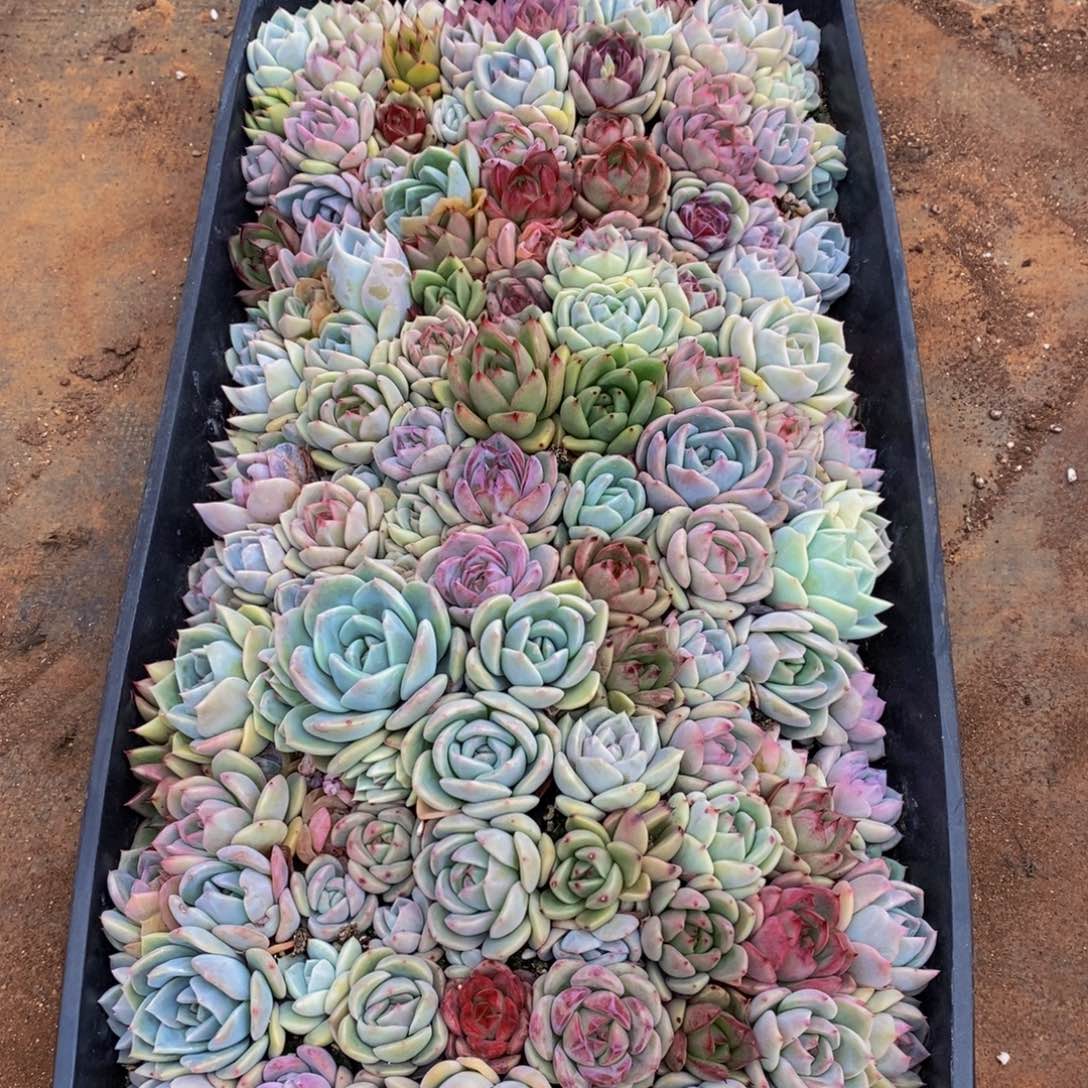 436的人生态度是一种态度