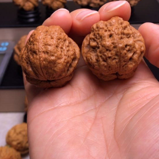 文玩核桃把件荷叶蟾15
