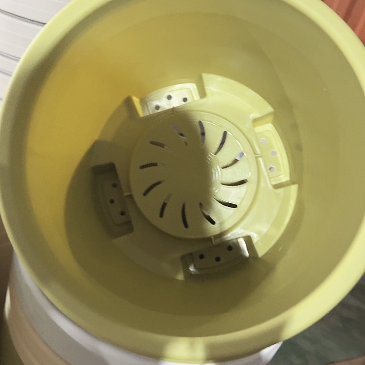 球根盆4号果绿无托5个