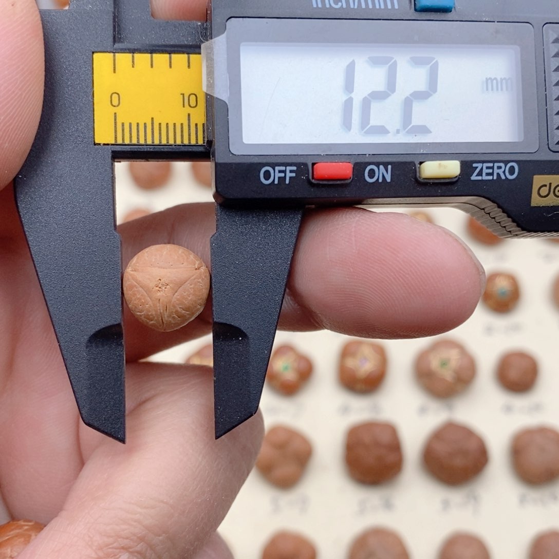 龙眼菩提吊坠开播福利龙眼