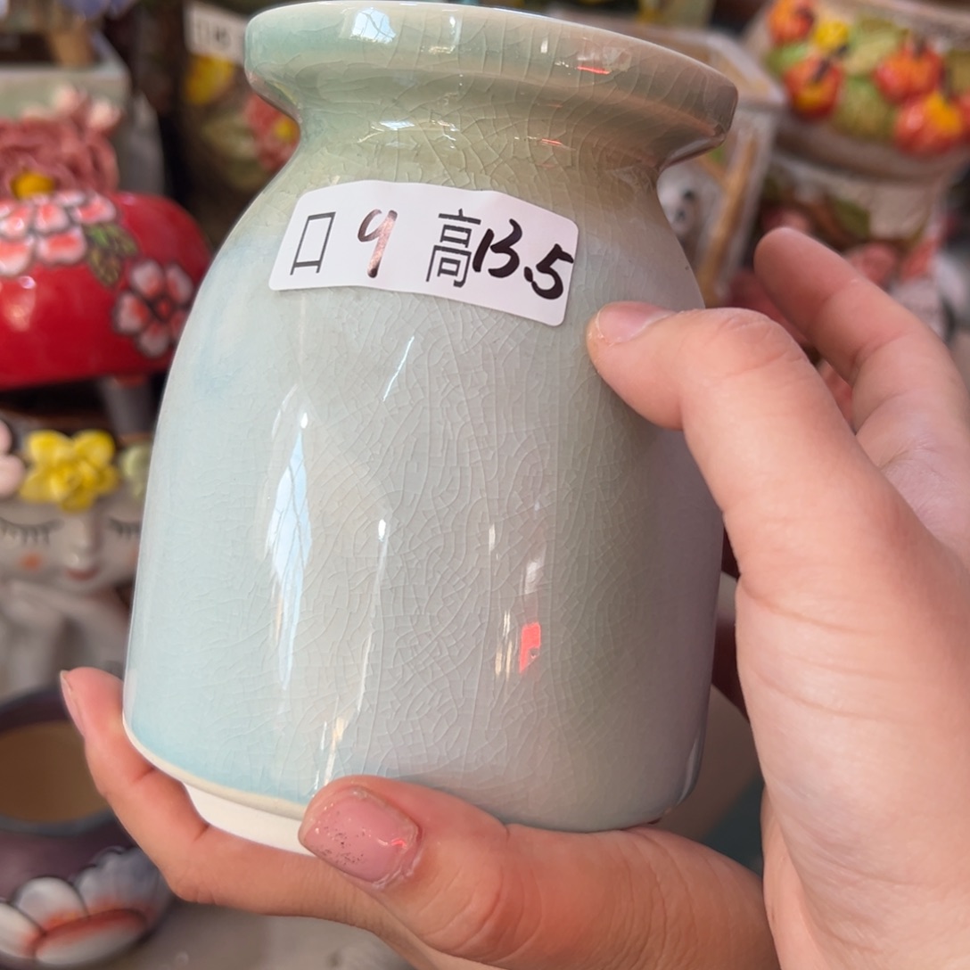 花盆，拍满20发货，退款拉黑颜色随便1个