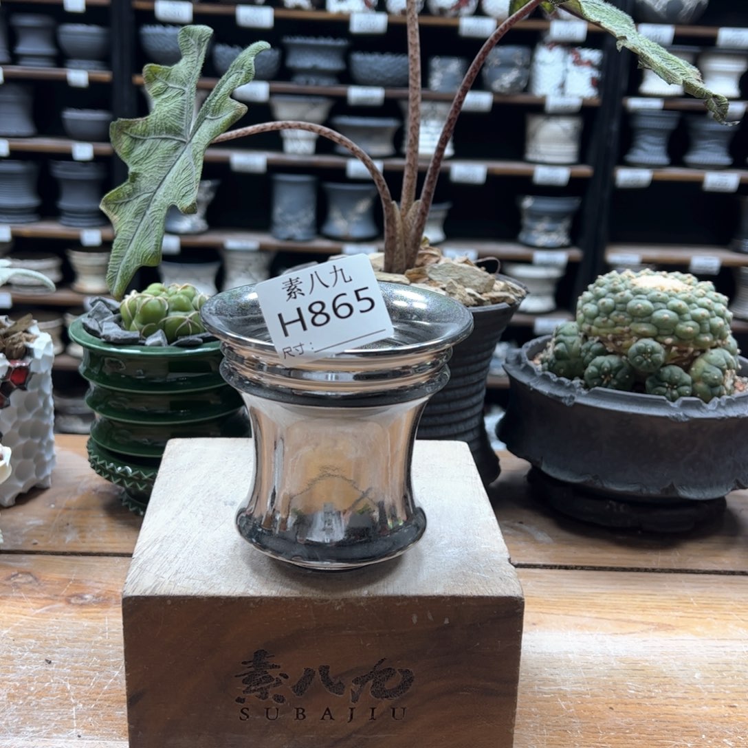 素八九陶瓷内口10高10