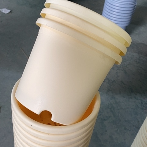 树脂特价2号13个带托米黄