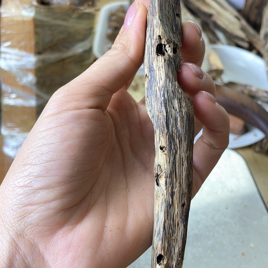 木绿奇楠原材料虫漏13克