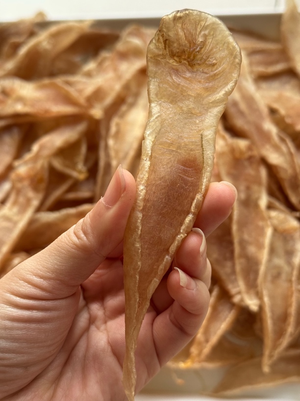 广东汕头南澳江航海产品  南澳白花胶  1-500克