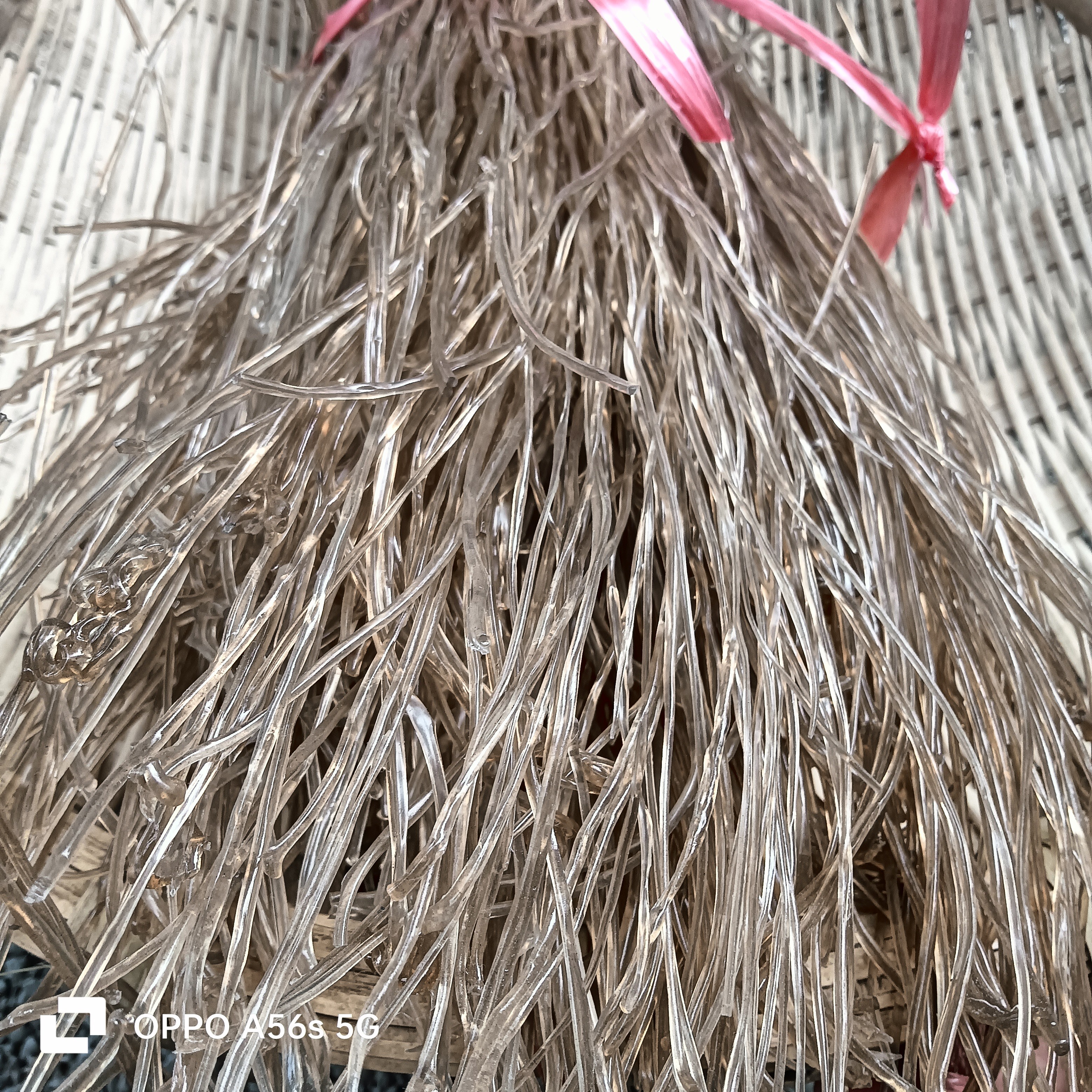 重庆农家手工传统红薯粉条自然晾晒劲道十足优质特产地瓜纯红薯