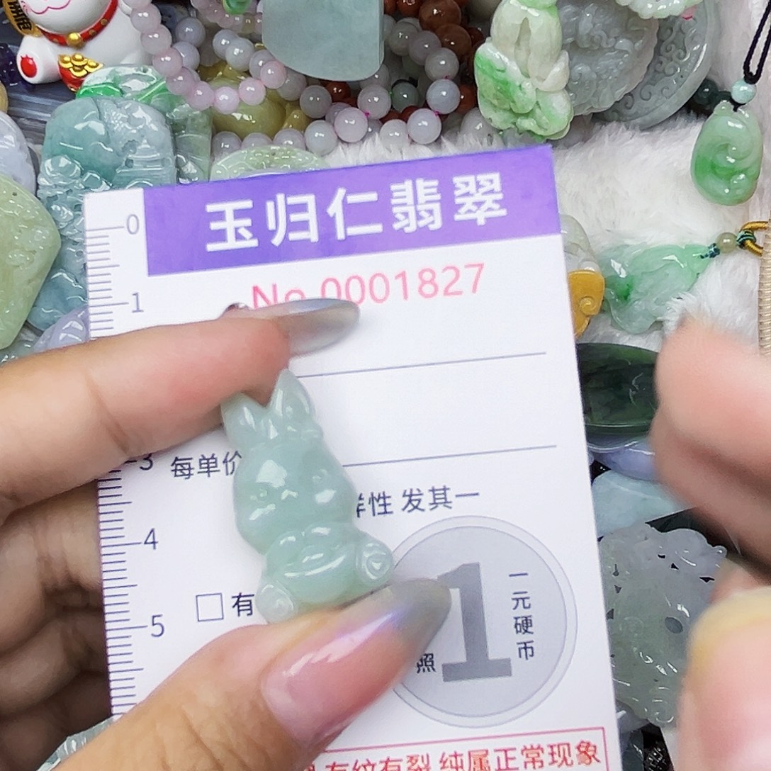 翡翠未镶嵌吊坠(不含链)111