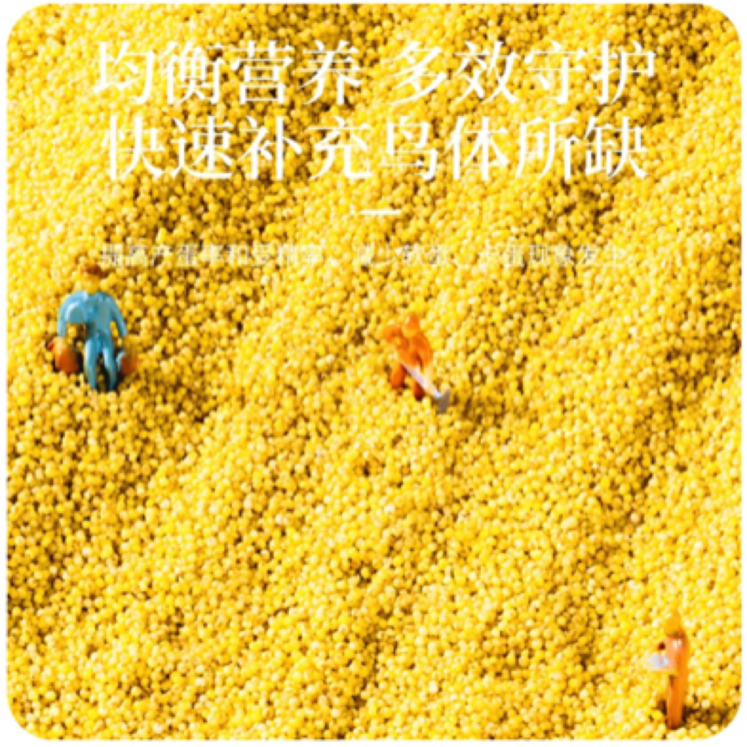 营养蛋小米啦啦啦啦