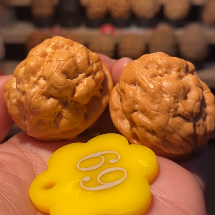 木质类舍利肌肉蟾35尺寸