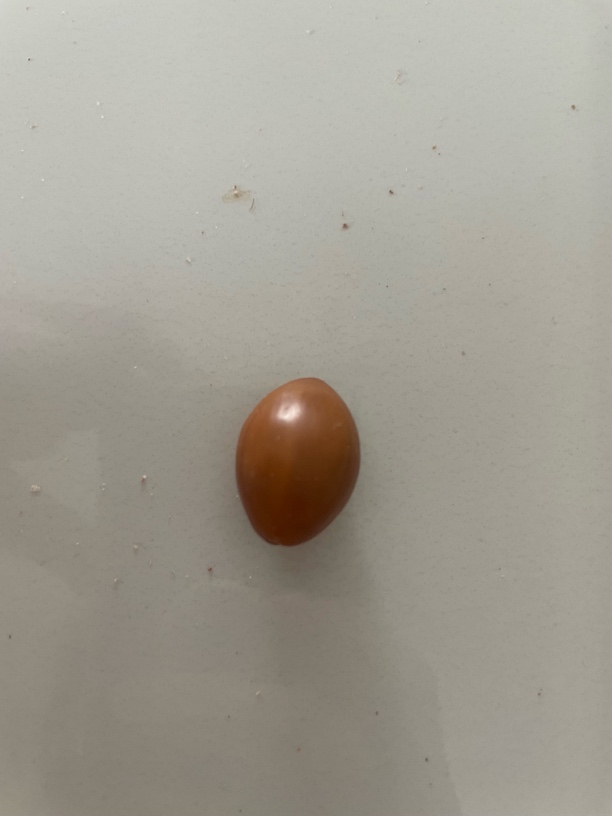 小橄榄核，出入平安