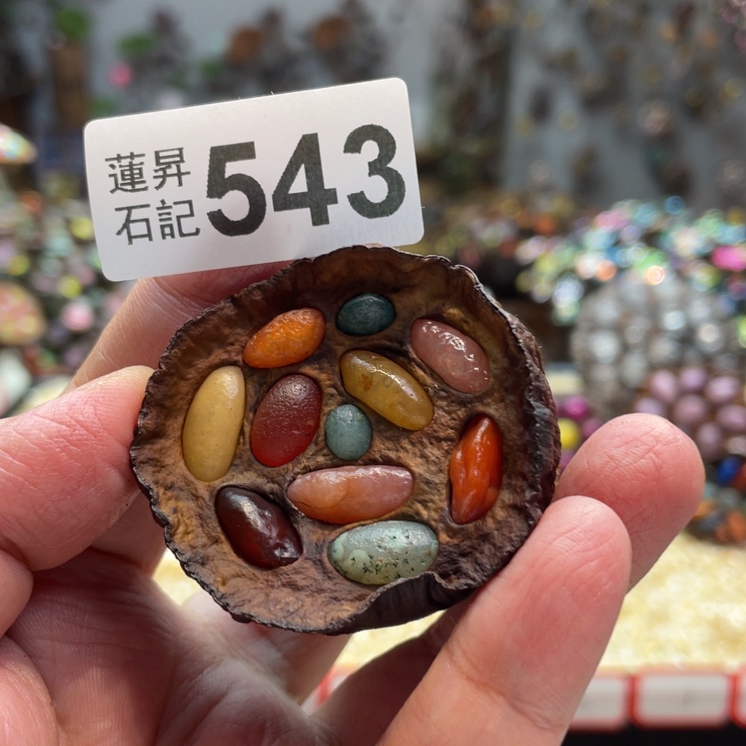 核桃木/黑胡桃（胡桃木）绻**依543