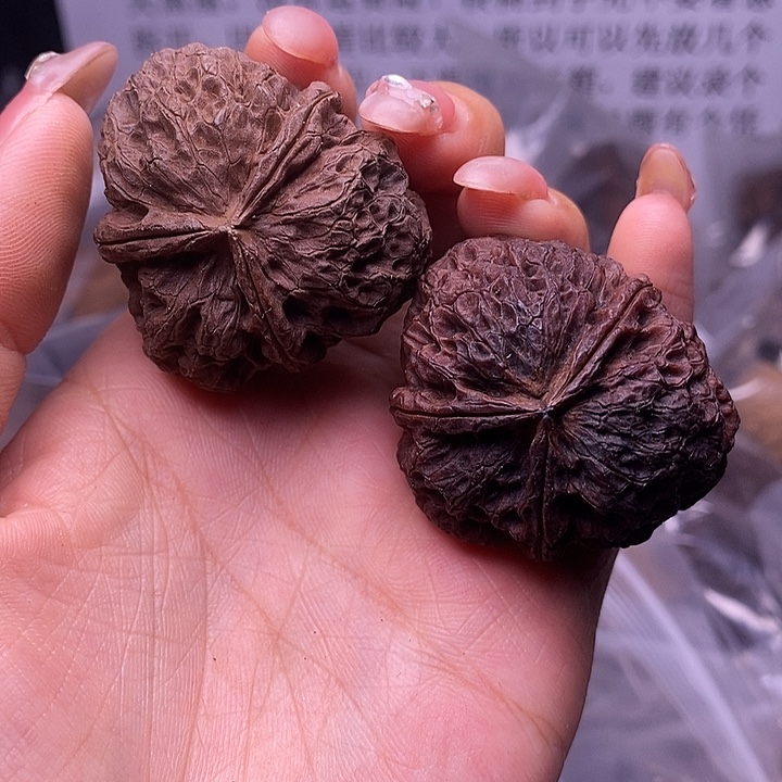 核桃云南野生铁核桃24号40mm