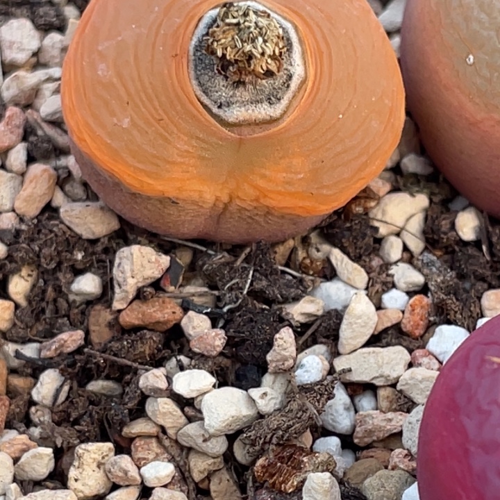 788888888888958988888