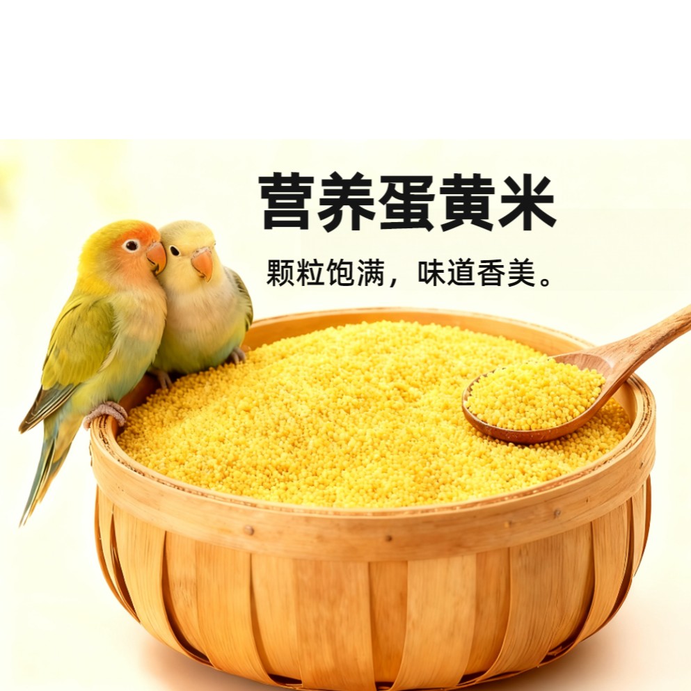 自有养殖场现做鹦鹉蛋小米，蛋小米4斤