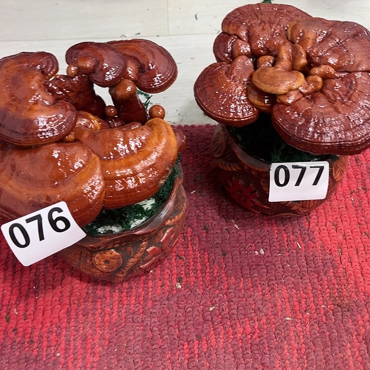 全部花朵8888888888888888888