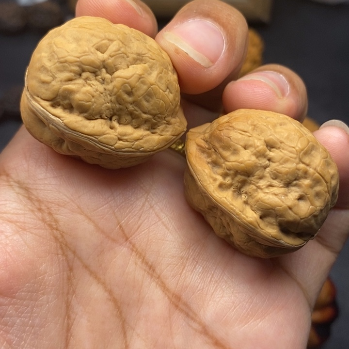 把件文玩核桃31尺金刚鹦鹉