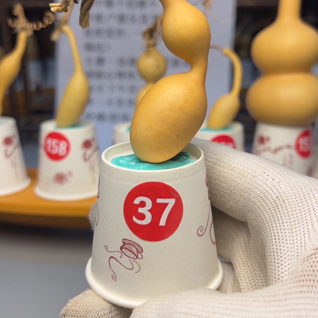 闪电购自助下单编号37