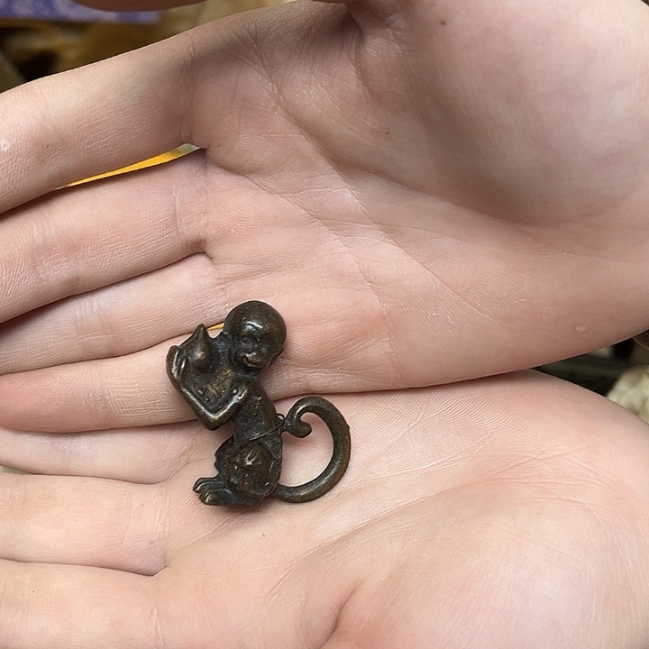 大叶紫檀（黑酸枝木类）