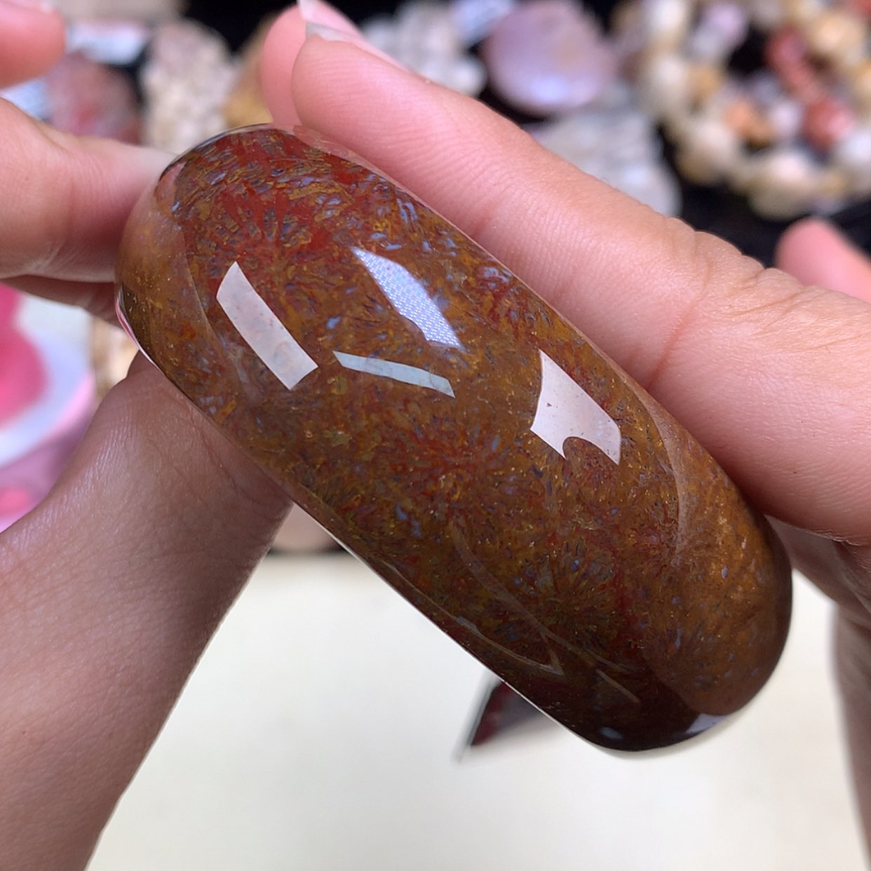 【闪购商品】颈饰未镶嵌硅化珊瑚（珊瑚玉）8号精美赞比53.4圈口