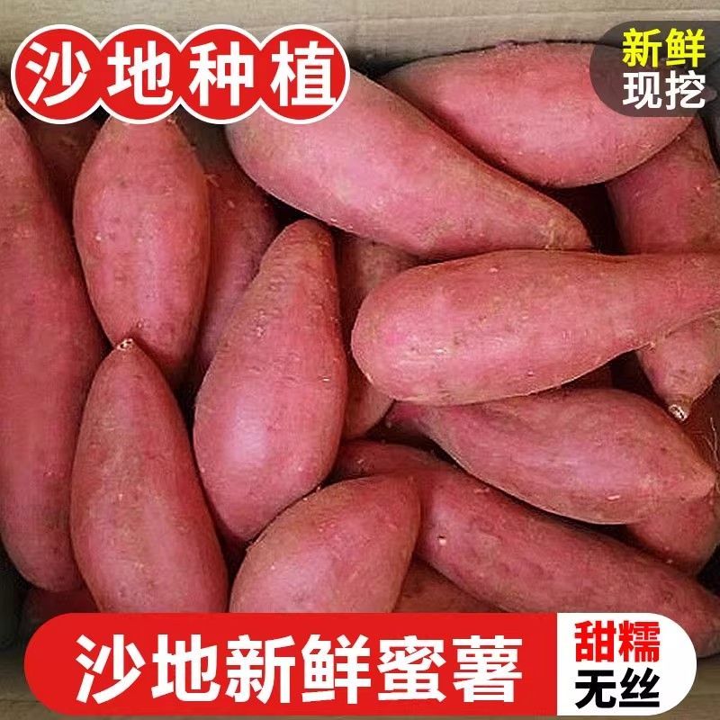 沙土地龙九蜜薯农家自种新鲜现挖红薯地瓜番薯