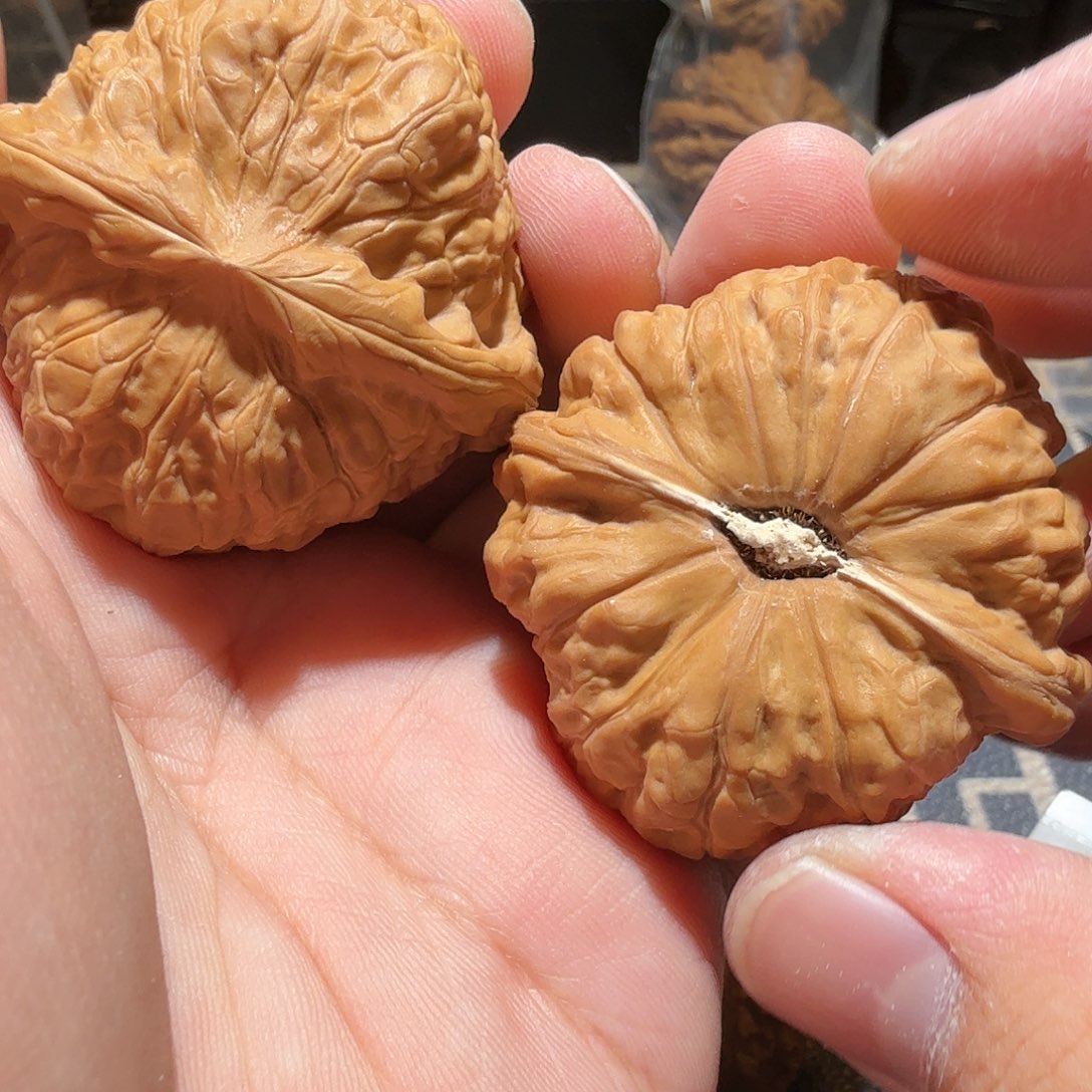 文玩核桃把件南瓜