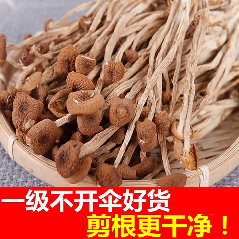 特产一级不开伞茶树菇食用菌子干货福建古田剪根炖煲汤排骨火锅材
