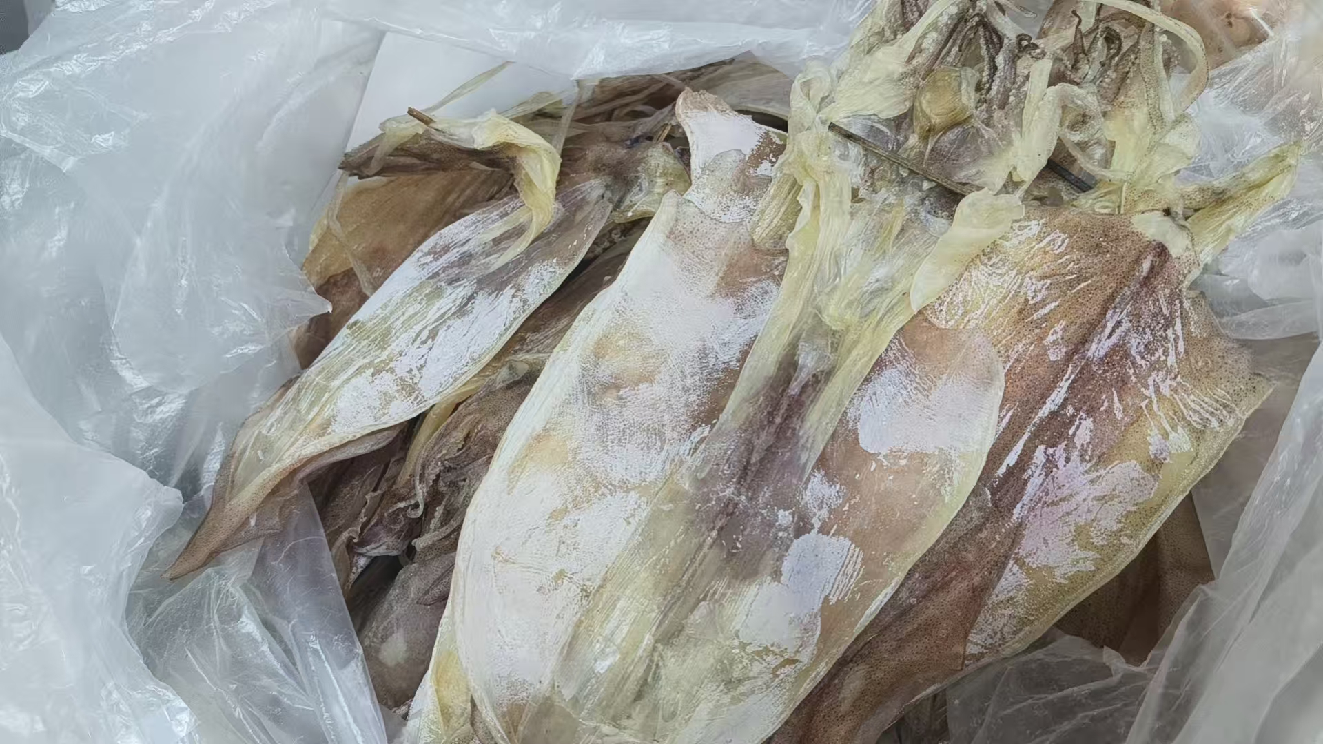 本地特产鱿鱼干可烧烤手撕搭配芥末的美味海产品干货