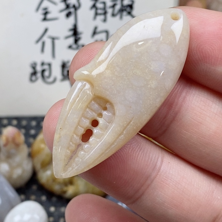 颈饰未镶嵌硅化珊瑚（珊瑚玉）