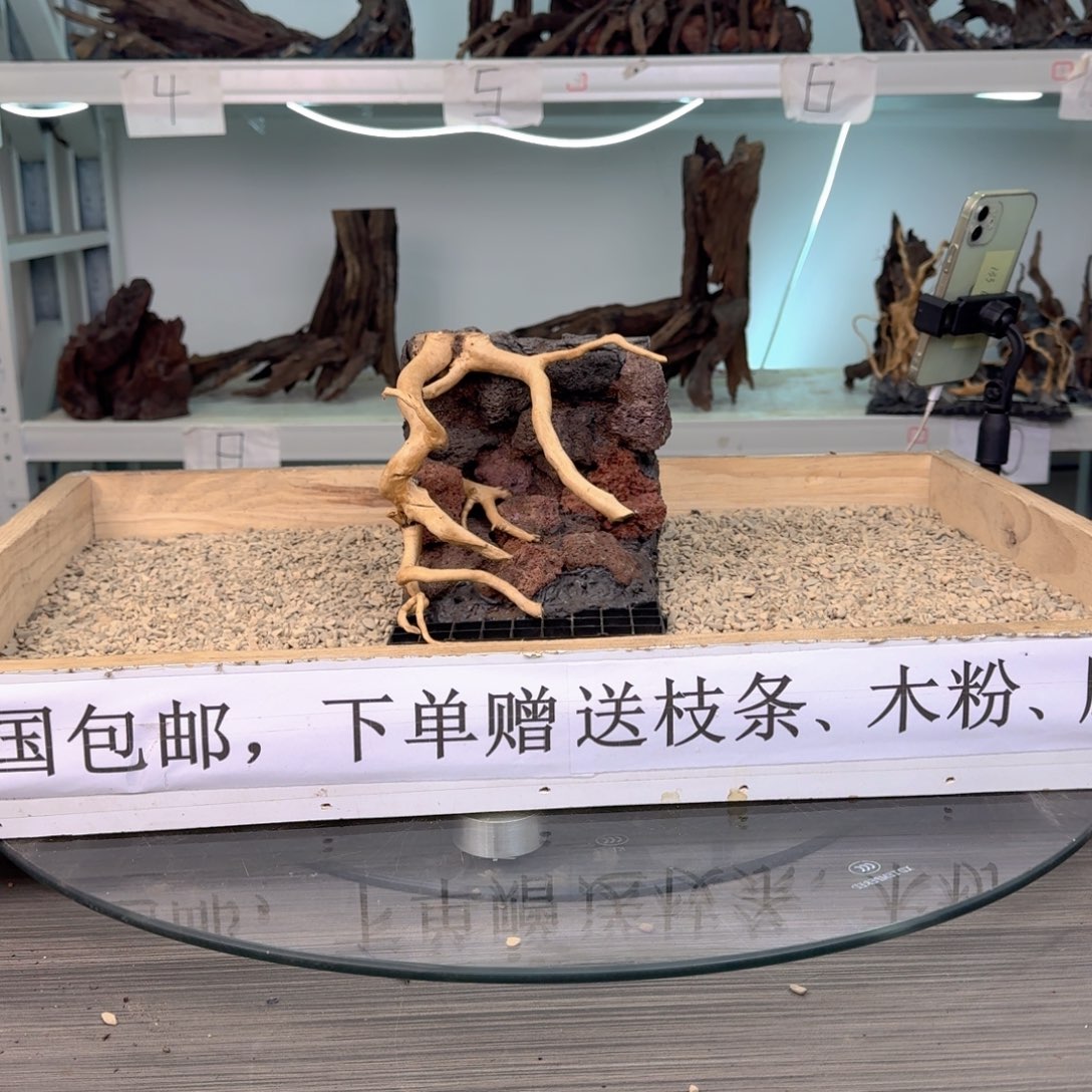 阳***面沉木造景沉木造景