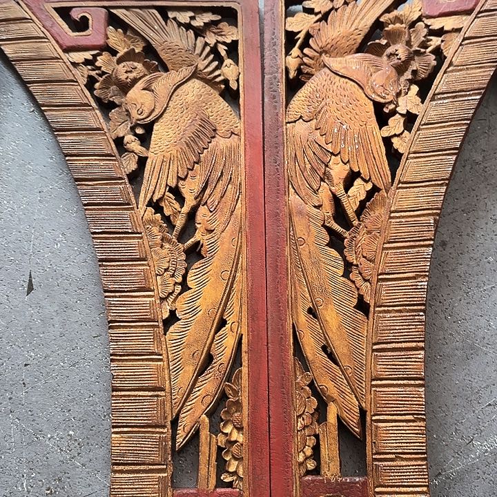 大果紫檀（缅甸花梨）抠*屎