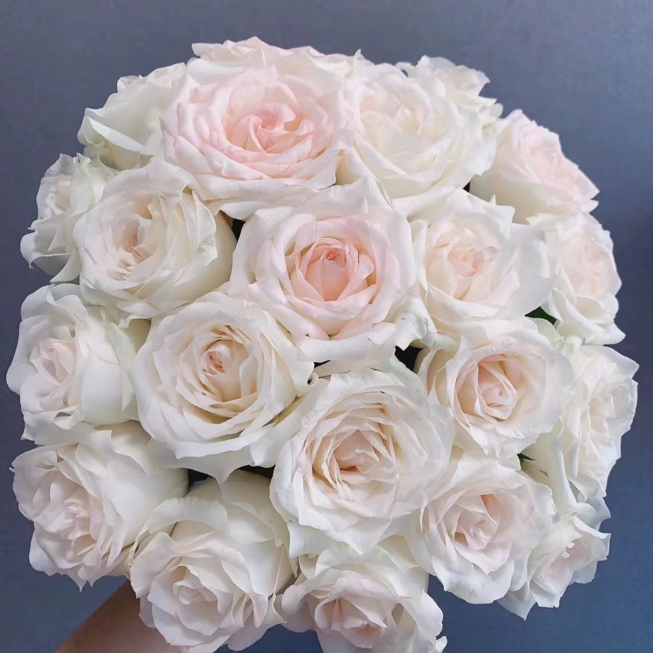 【A3套餐：小白兔+紫玫瑰+洛神+香水百合+折射+绣球+洋桔梗+叶子】